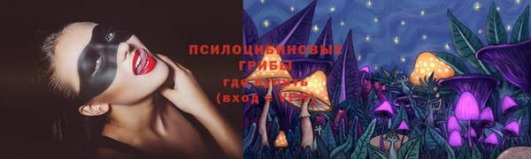 2c-b Алексин