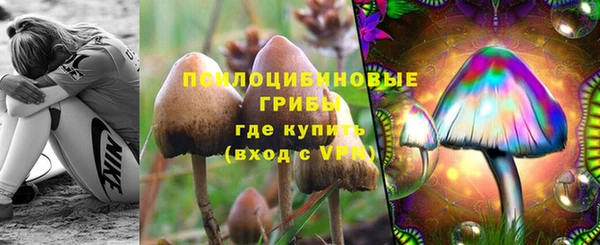 гашик Алзамай