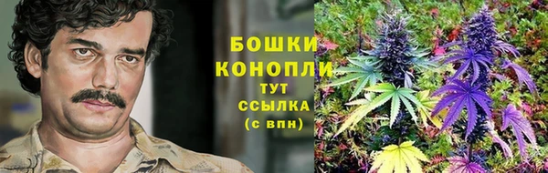 2c-b Алексин