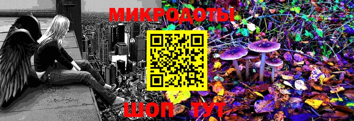 Псилоцибиновые грибы мухоморы  Галлюциногенные грибы Magic Shrooms  Вход с VPN  где продают наркотики  Череповец 